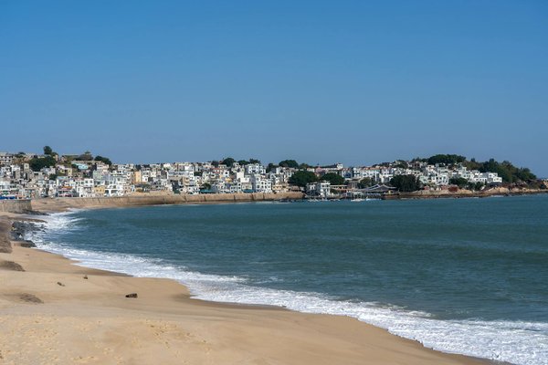 Grossiste cbd : profitez des meilleures offres en 24h !