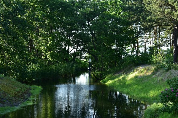 Snus écologique : une alternative sans tabac à découvrir